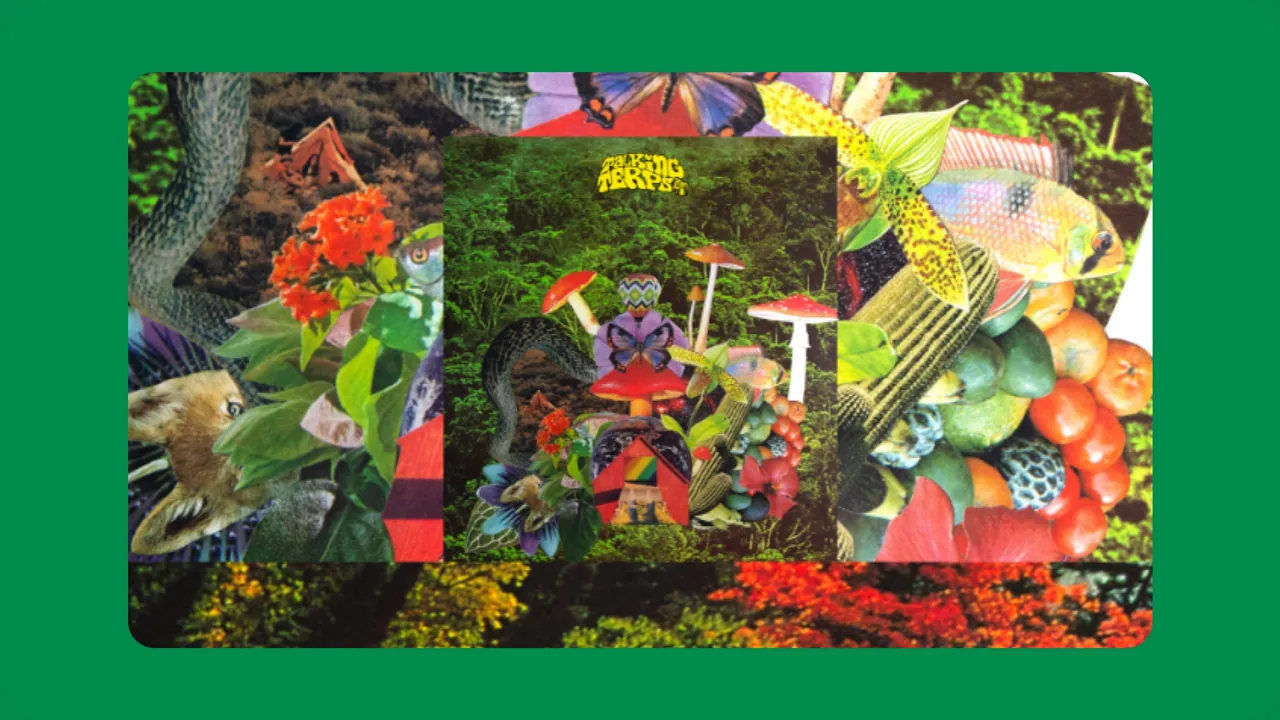 Talking Terps: lush collage of flowers, mushrooms and fruit used as the brand’s visual world.